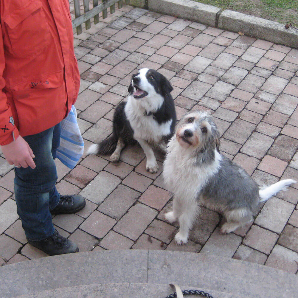 Unser Fell schützt uns mit der Superkraft von Regeröl. Sid & Danny

