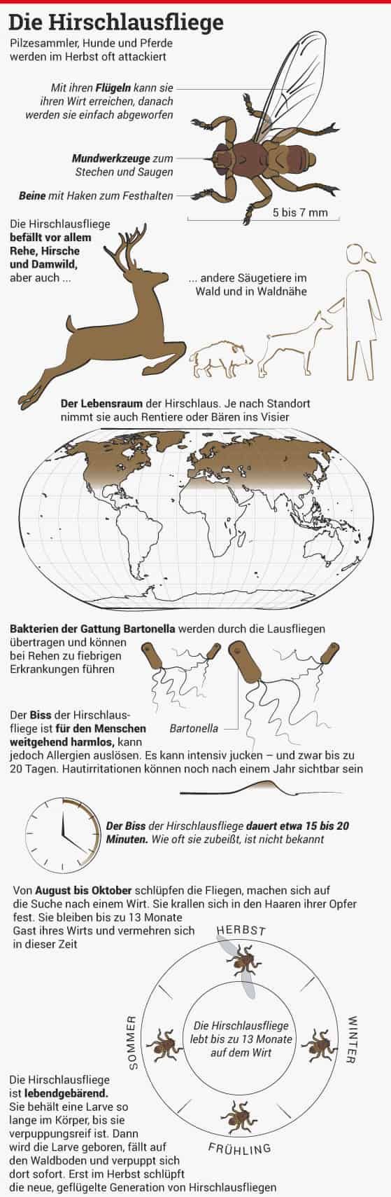 Grafik-Quelle : American Society of Microbiology
